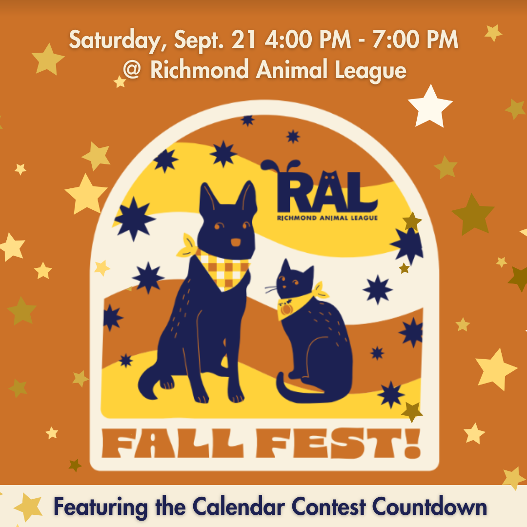 Fall Fest quick image.png